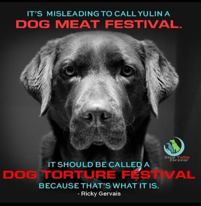 #StopYulin #RIP #bandogandcatmeat
#Yulindogandcatmeatfestival