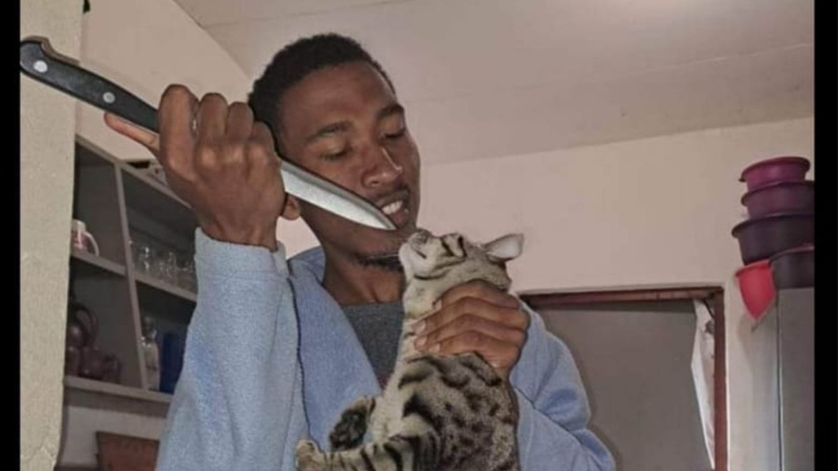 please call us on 0217004158/9 or 0833261604.  Reports can be made anonymously and the SPCA will never reveal the name of a complainant.

You can also submit your report online via this link capespca.co.za/services/inspe…