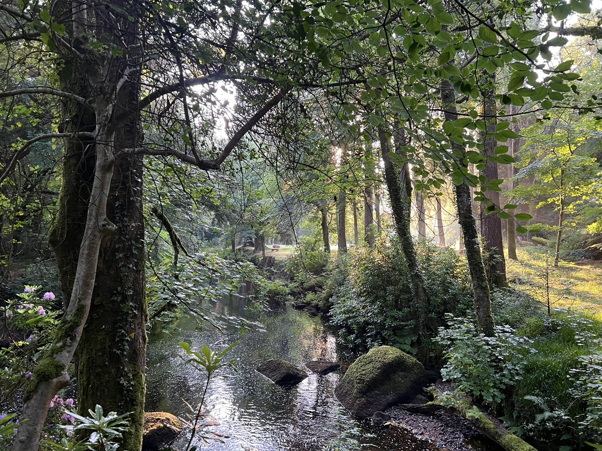 Happy Summer Solstice from beautiful #Dartmoor
