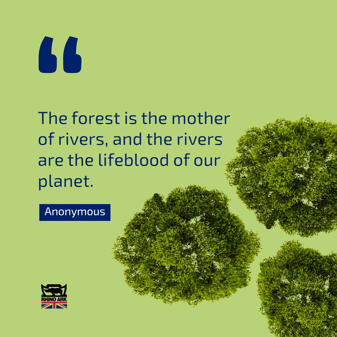 Forests act as natural sponges, absorbing rainwater and allowing it to percolate into the ground. The soil in forests acts as a filter, trapping sediment and pollutants, and releasing clean water into the underground aquifers.

#ForestConservation #ForestRestoration #RAUK