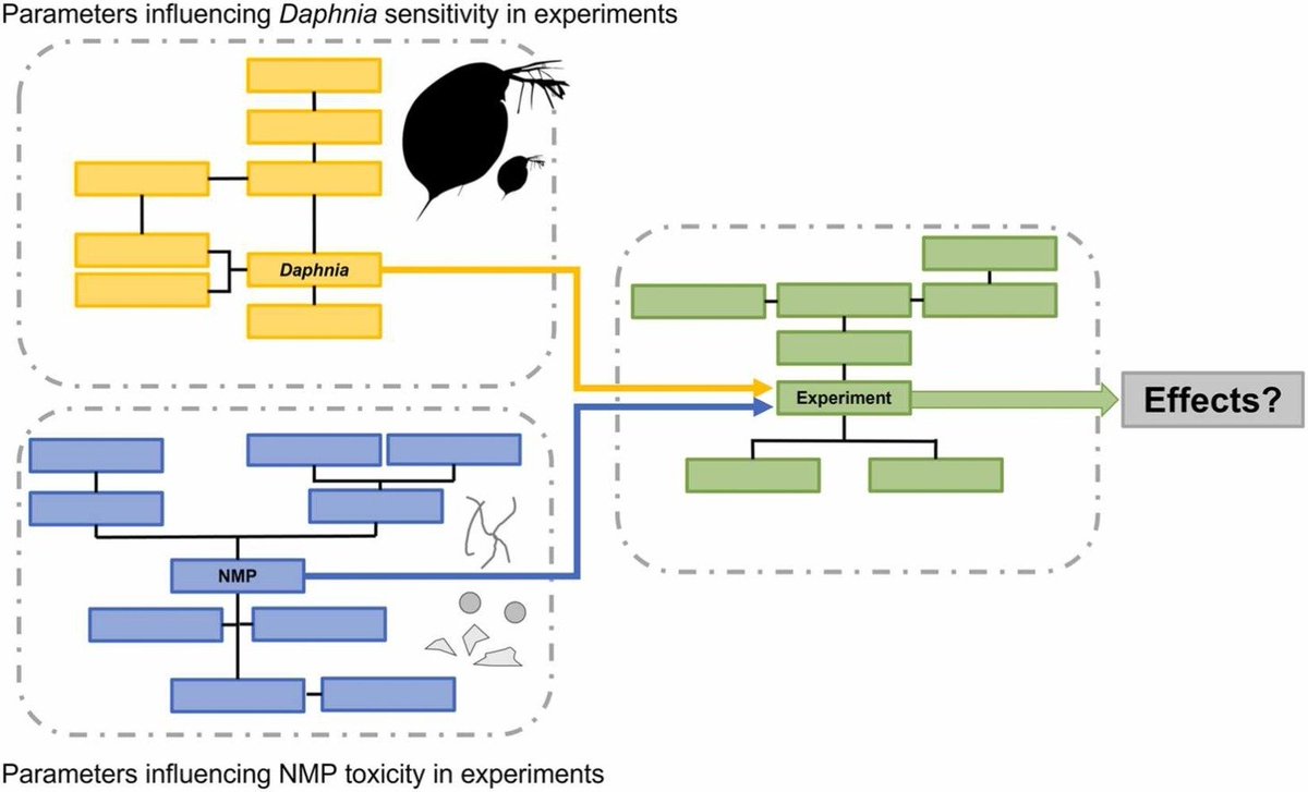 📢Fresh off the press @HAZMAT_journal: The complexity of #microplastic & #nanoplastic research in the genus #Daphnia – A systematic review of study variability & a meta-analysis of immobilization rates sciencedirect.com/science/articl… @SETAC_plastics @pnwmicroplastic