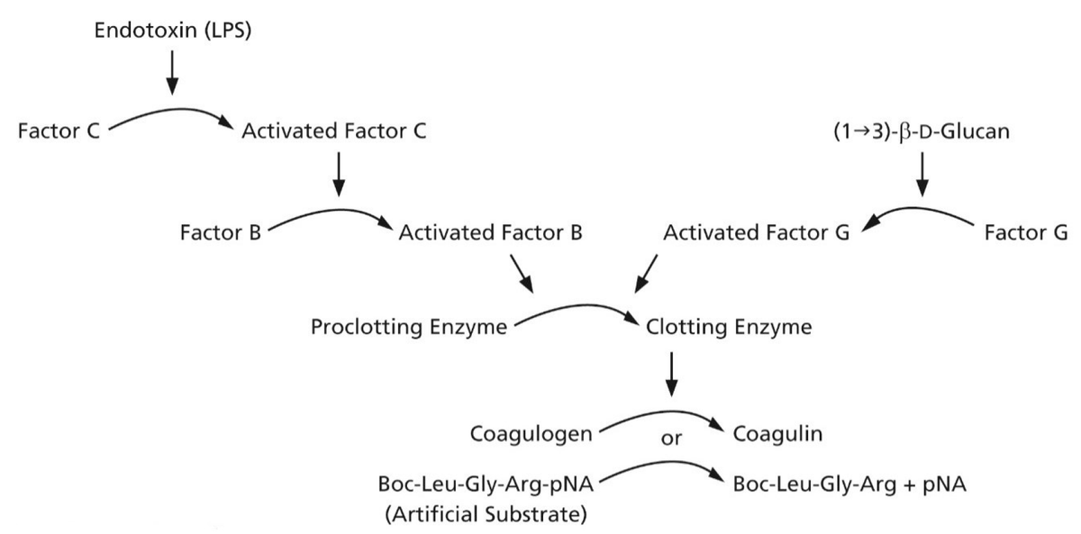 JoF_MDPI's tweet photo. 🆕🔝 Review Paper in #JoF~ Find out more about the #diagnosis of #Invasive #Fungal #Diseases:
🧪🧑🔬 "Specificity Influences in (1→3)-β-d-#Glucan-Supported Diagnosis of Invasive Fungal Disease"
More here:
https://t.co/3Wwqp0VaPZ https://t.co/6Lbv2UjDKO