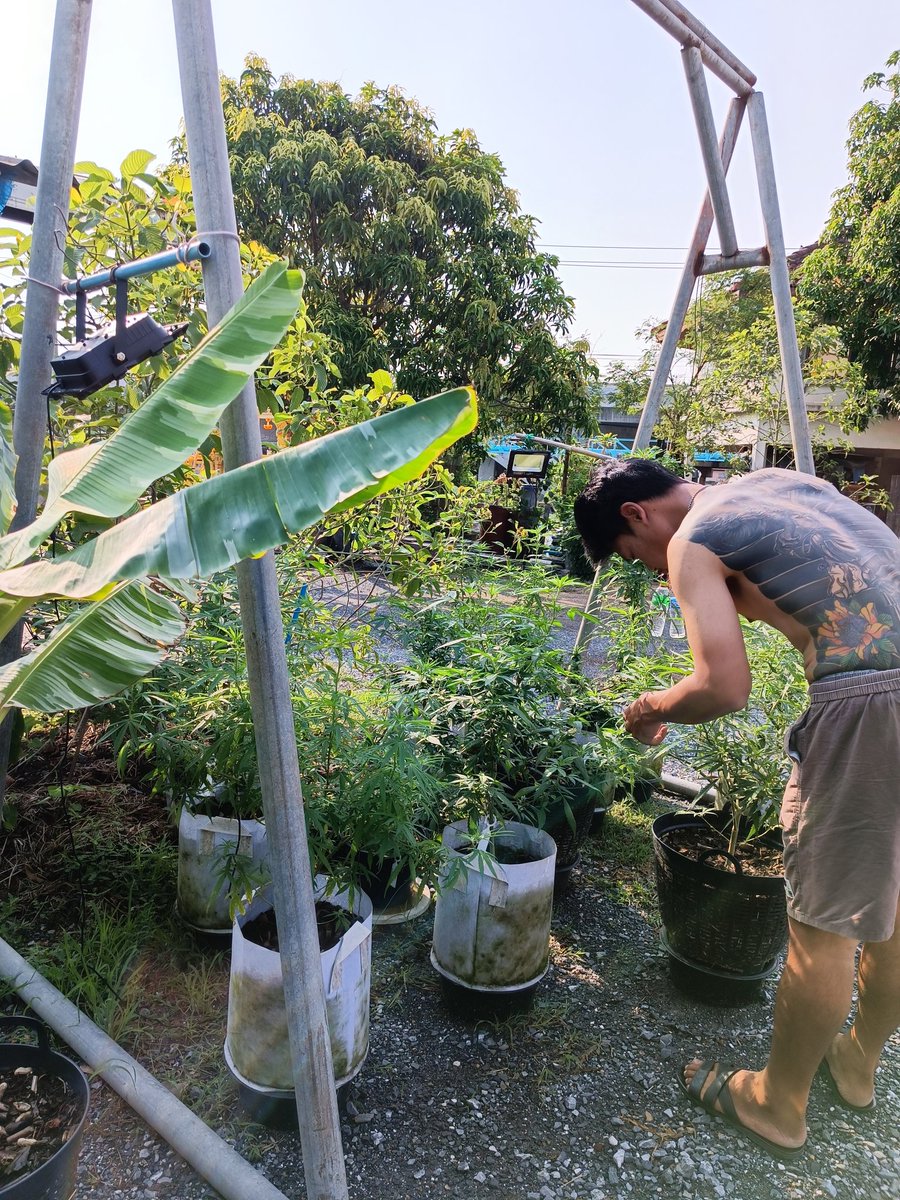 SPechsringam's tweet photo. ชอบแบบไหน แบบไหนถึงจะชอบ https://t.co/rU4wB2Vzar
