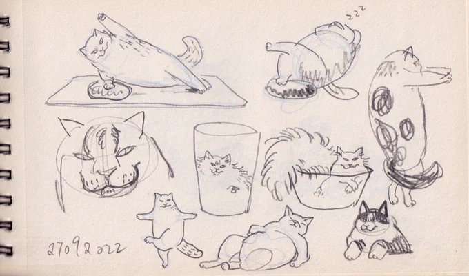 so I scanned some of the full pages of my sketchbook from last post : D Actually this sketchbook was start from 2019…which is super slow in progress. But I always keep using few sketchbooks at the same time. 