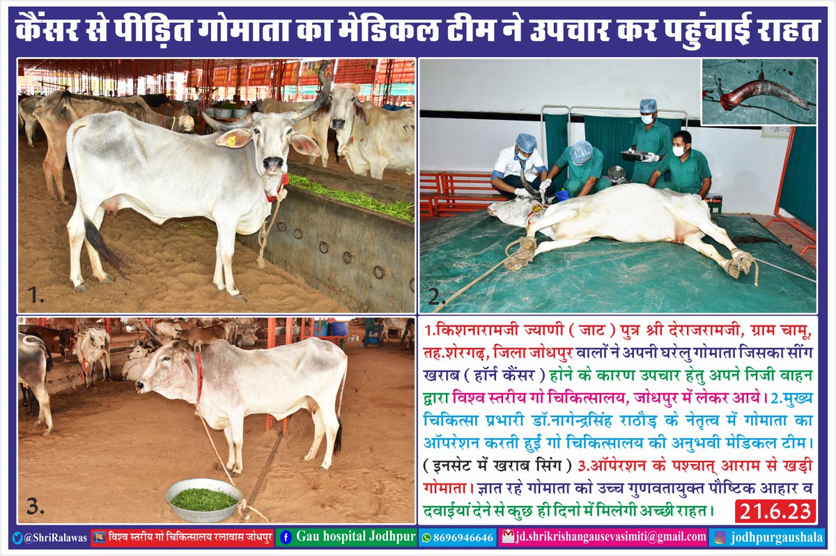 #hinduhardyasmarat #kushalgirijimaharaj #vishwastariyagauchikitsalaya #gochikitsalayajodhpur #vishvastariyagauchikitsalayajodhpur #cowhospital #medicalnews #shrikrishnagopalgauhospital #shrikrishnagausevasamiti #gausevamissiondonationforgausevac