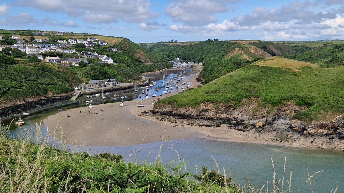 Deirdre O'Flynn (@deirdrejoflynn) on Twitter photo St David's Way in #Pembrokeshire, 9.6km from St Non's Chapel at St David's to Solva. Clifftop walk, amazing views, deserted beaches, birdsong, and very glad to see the harbour at Solva! Reader, we got the bus back! St David's Way in #Pembrokeshire, 9.6km from St Non's Chapel at St David's to Solva. Clifftop walk, amazing views, deserted beaches, birdsong, and very glad to see the harbour at Solva! Reader, we got the bus back!