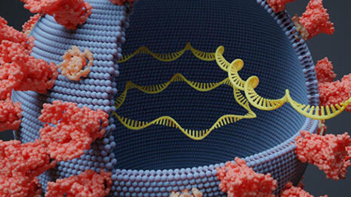 #Cholesterol lures in #coronavirus.
Read more: rb.gy/52szq
#Biochemistry
#JPMS
#Research
#Manuscript