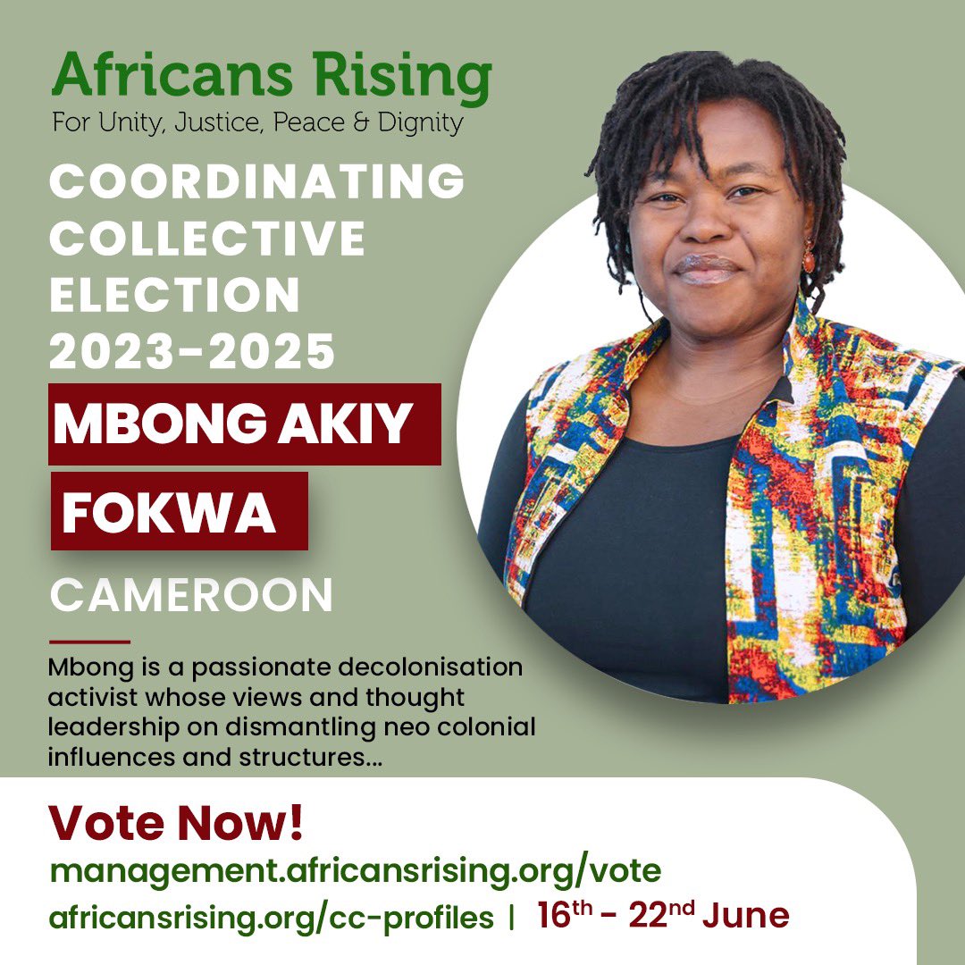 Africans Rising tweet media