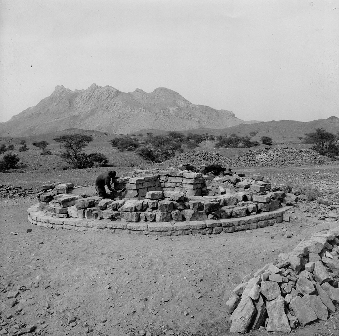 In 1972 @museummoesgaard 's  Karen Frifelt became the first archaeologist to excavate in the Sultanate of Oman, finding the Bronze Age remains of UNESCO world heritage site BAT.