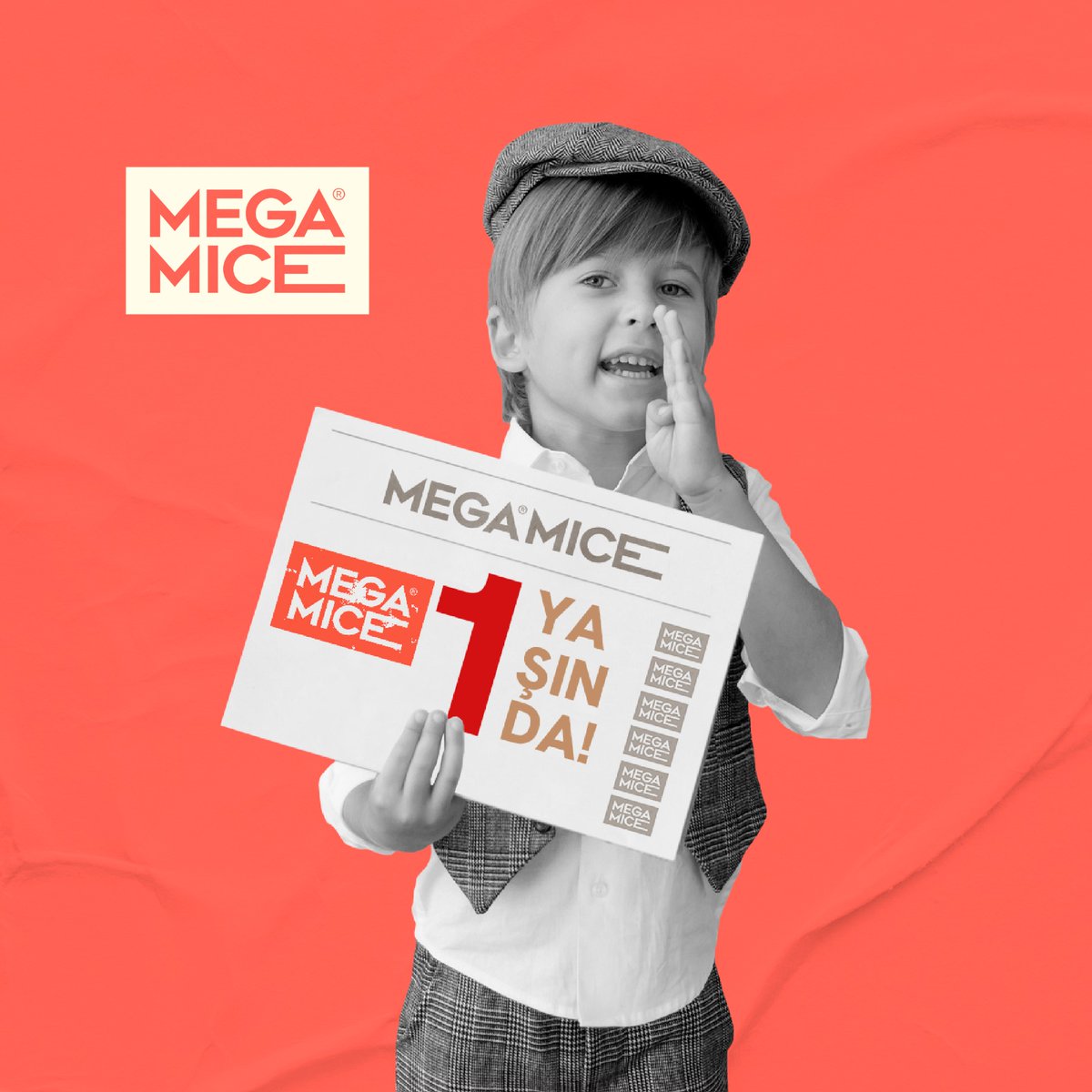 megamicepr's tweet photo. Türkiye'nin en dinamik 360 derece iletişim ajansı Mega Mice 1 yaşında!
#megamice #1yaşında #medya #organizasyon #fuar #danışmanlık #zorluklardanyıldızlara #herşeykontrolaltında https://t.co/OI9c5vz1O7