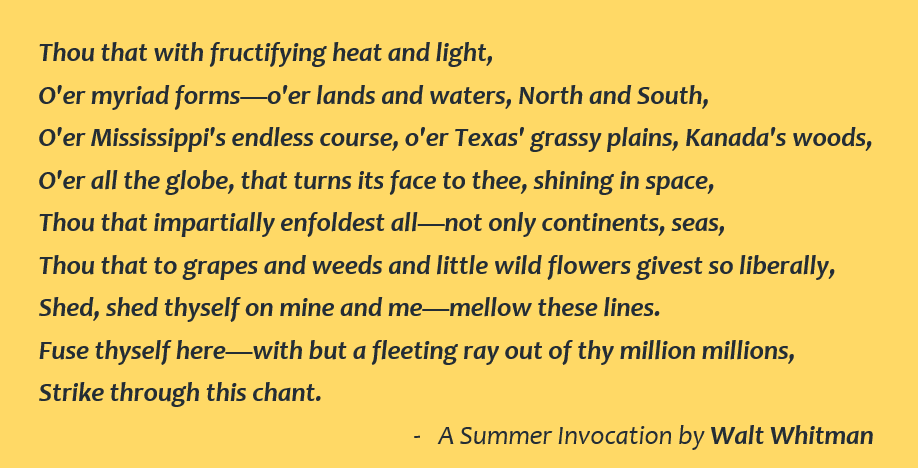 JonnyKinross's tweet photo. Happy Summer #Solstice everyone ! #HappyLitha https://t.co/rMXqBJp4Ao