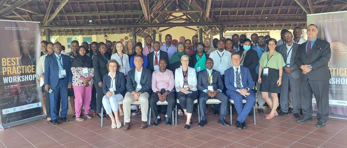 🦣Wildlife protection is about preserving the web of life that sustains us all🦒
The Regional Best Practice Workshop in Dar es Salaam aims to prevent, intercept illegal wildlife trade at ports, successfully investigate and prosecute wildlife crime cases.
#wildlifeprotection