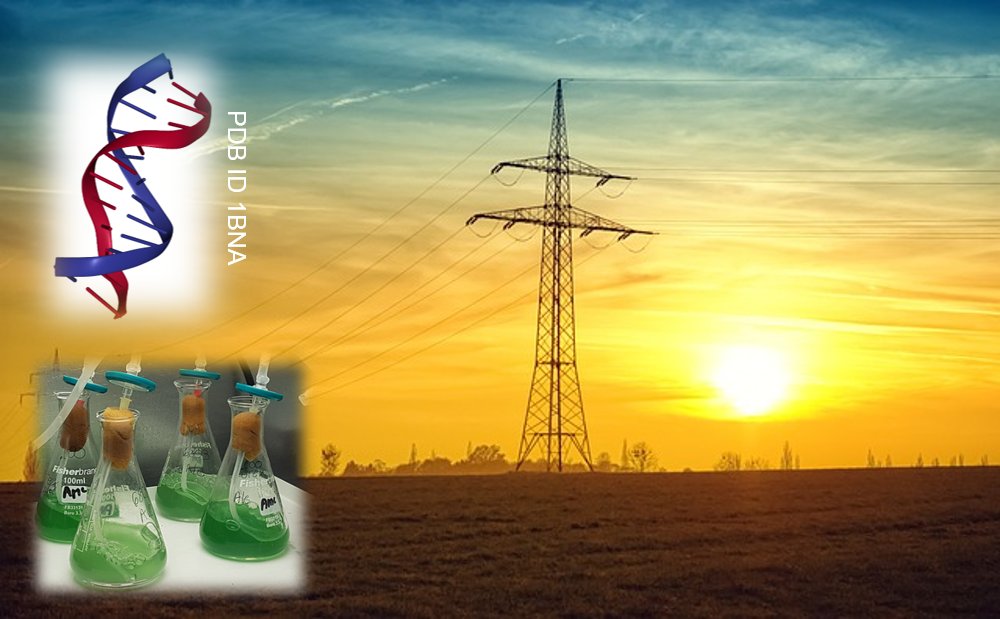 New job opportunity in my group at <a href="/SchoolOfEng_UoE/">School of Engineering</a>! Research associate (postdoc) – 6 months – #dnanano + cyanobacteria + biophotovoltaics. Collaboration with <a href="/McCormick_Lab/">McCormick Lab</a>. Funded by <a href="/Accenture/">Accenture</a>. Application deadline=12th July. More details:
elxw.fa.em3.oraclecloud.com/hcmUI/Candidat…