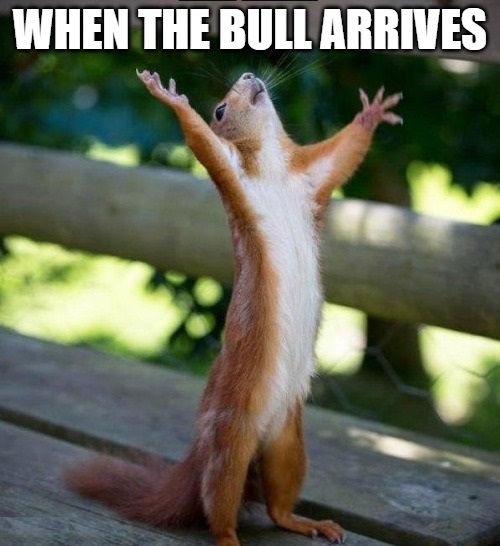 Indeed, it is a moment of great magnificence. #MemeCoinSeason