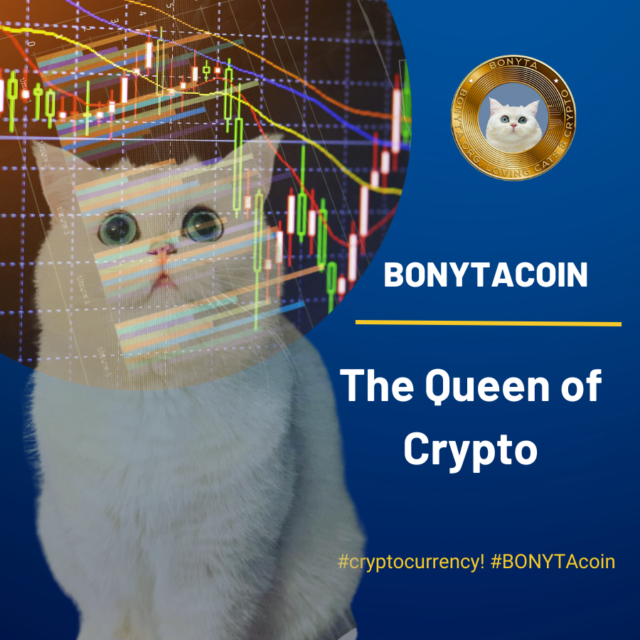 🎯 Aim high with Bonyta's memecoin, setting your sights on ambitious crypto goals and riding the waves of innovation to reach new heights of prosperity. #BONYTA #CryptoAmbition 🚀