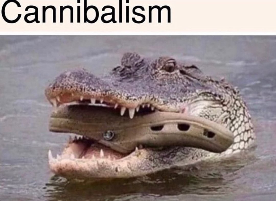 coolwraithkit's tweet photo. Fucking whatever guess i'll rot for a while here's some memes i stole from ig https://t.co/99LsvRG7O8