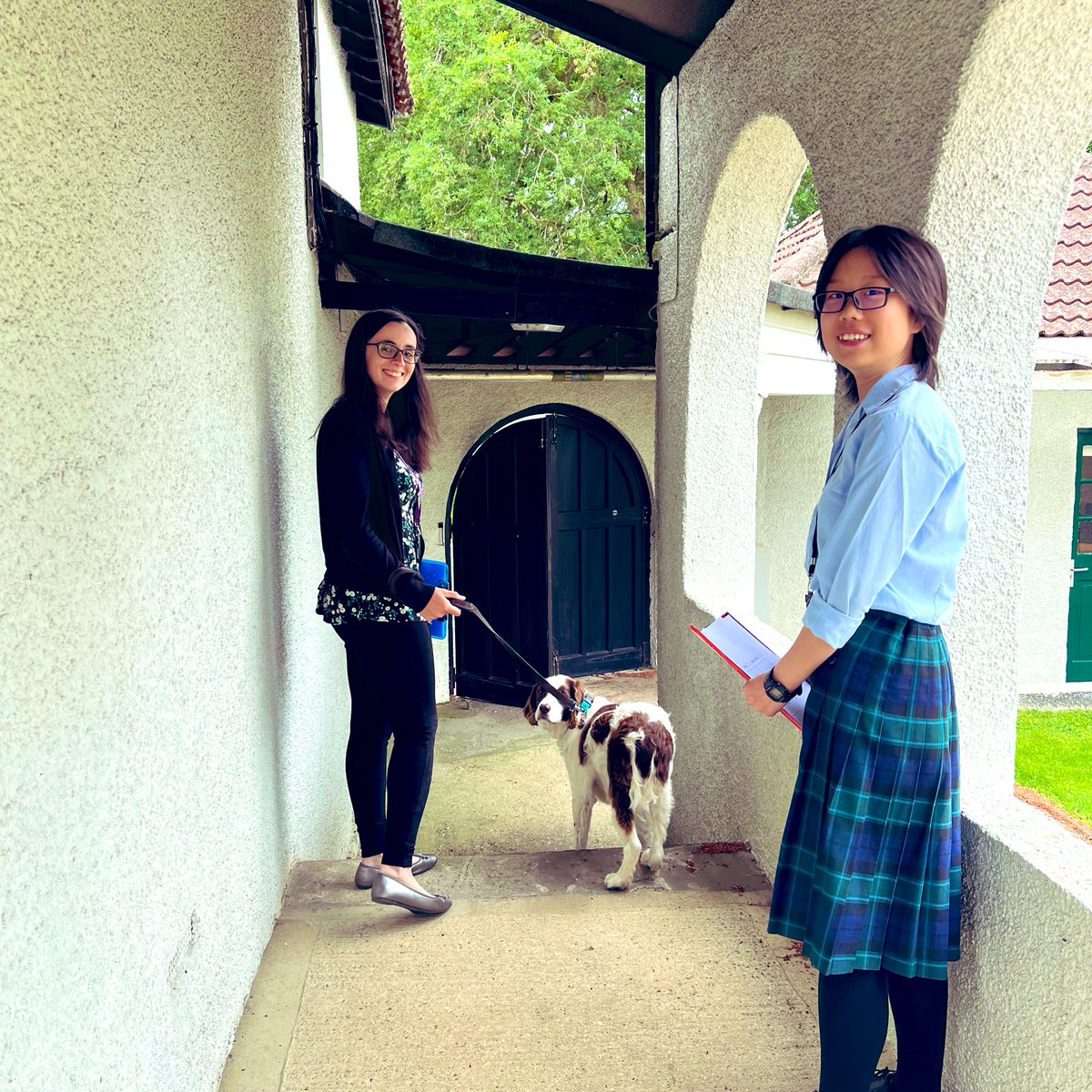 DowneHouseMusic's tweet photo. Emily opted for our @ABRSM Calming Dog Experience! Alfie has his work cut out today, but he’s doing a fantastic job for Team Music! #musictransforminglives #wellbeing https://t.co/WeKiELljdI