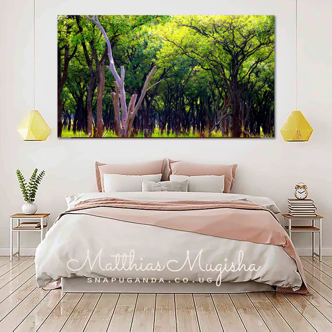 AnnahAshaba's tweet photo. Today, let’s talk wall decor. Add life and beauty to your spaces with  wall decor images from @SnapUgandaTours. It is 100%  Ugandan and suitable for homes, hotels and offices.

Tel: +256772407561/+256787102326
info@snapuganda.co.ug
Snap Uganda,  Kisozi Complex Nakasero Kampala. https://t.co/zyHoItHl1E