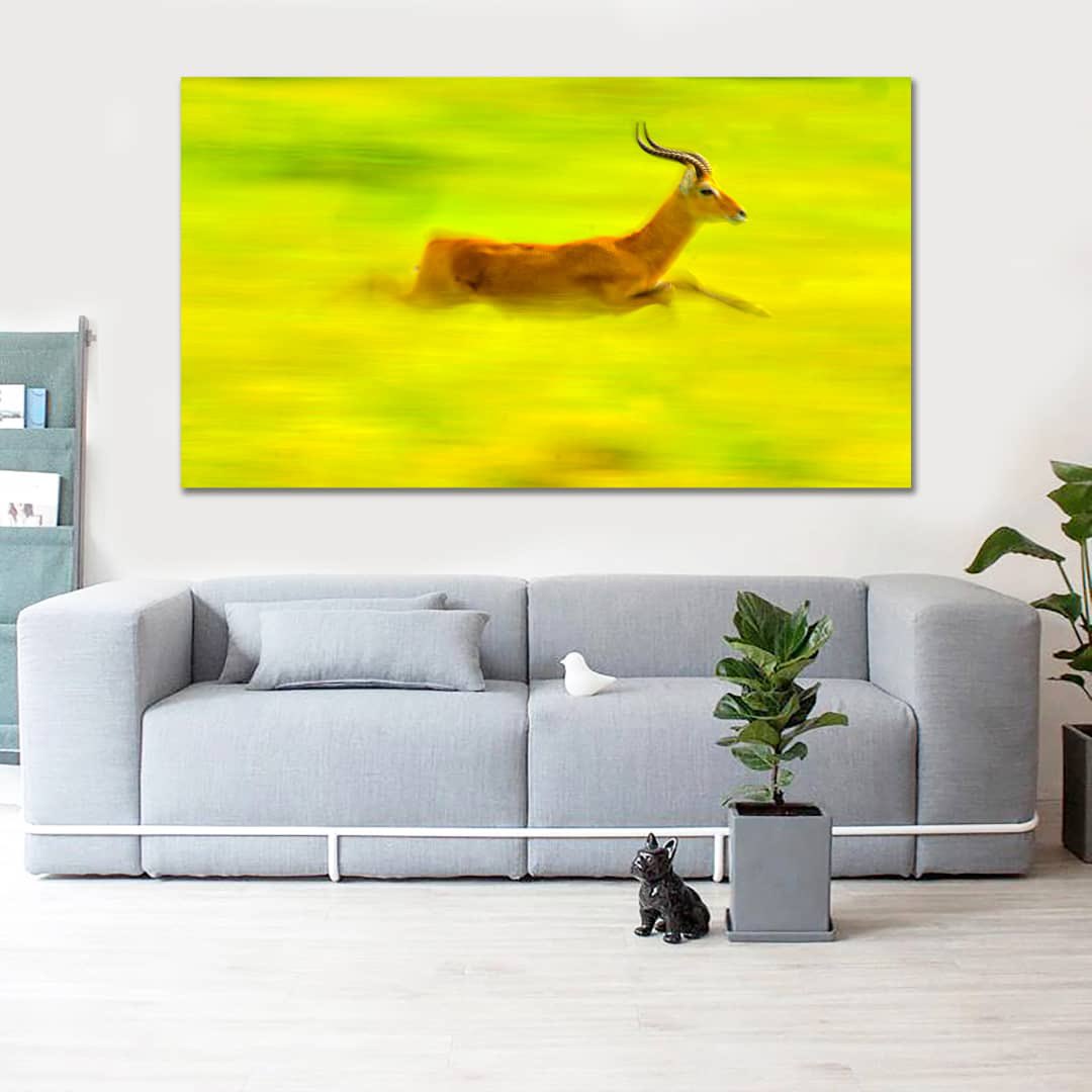 AnnahAshaba's tweet photo. Today, let’s talk wall decor. Add life and beauty to your spaces with  wall decor images from @SnapUgandaTours. It is 100%  Ugandan and suitable for homes, hotels and offices.

Tel: +256772407561/+256787102326
info@snapuganda.co.ug
Snap Uganda,  Kisozi Complex Nakasero Kampala. https://t.co/zyHoItHl1E