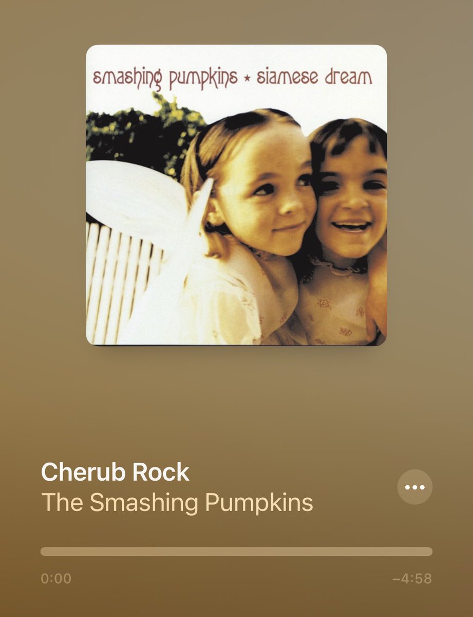 Champi 🤘🏻 tweet media