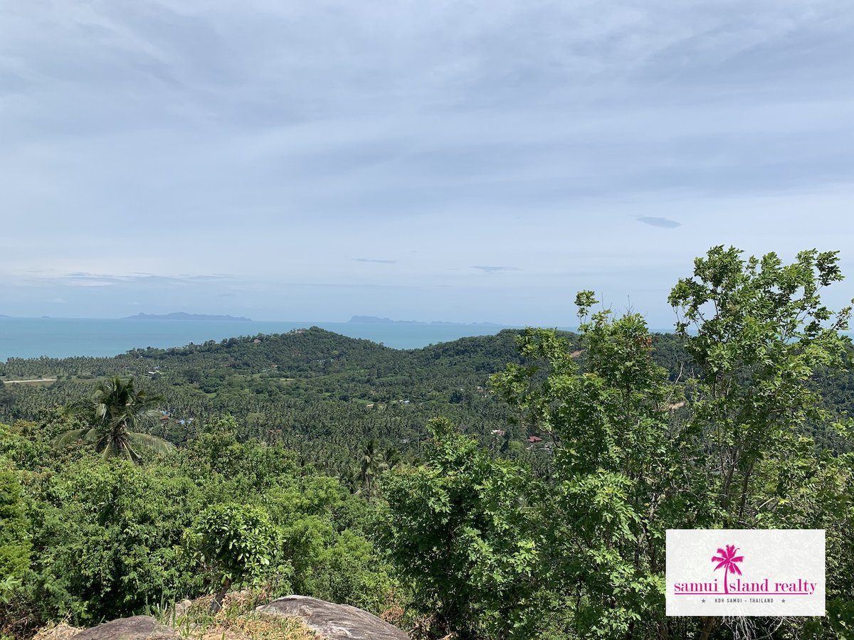 SamuiRealty tweet picture