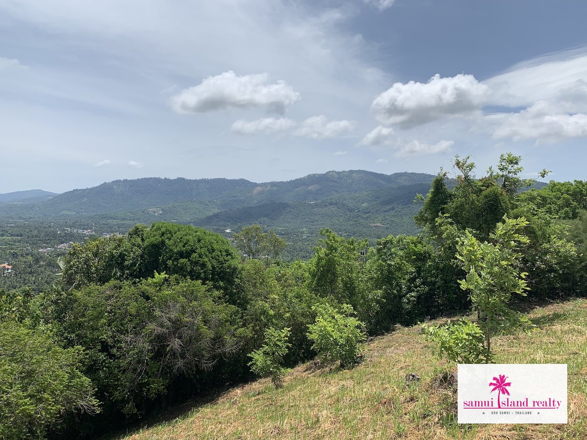 SamuiRealty tweet picture