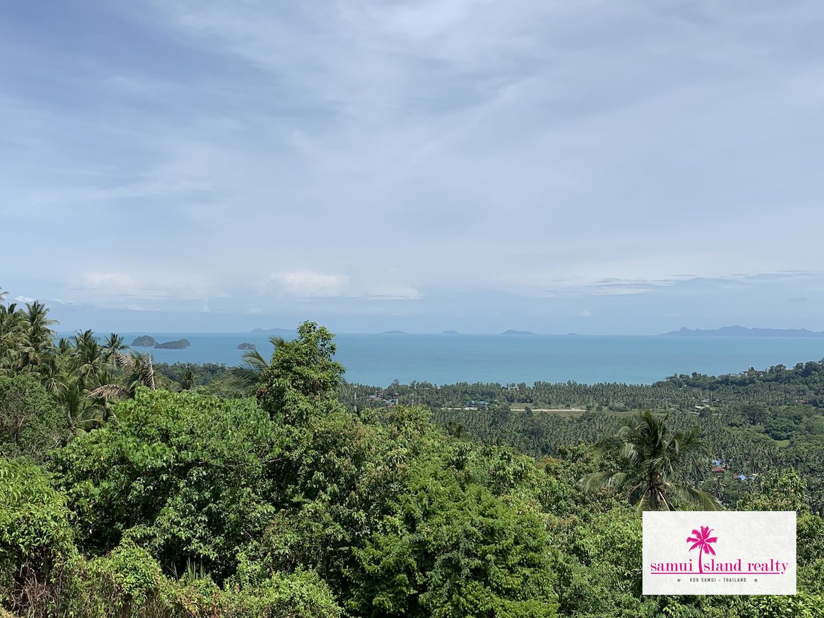 SamuiRealty tweet picture
