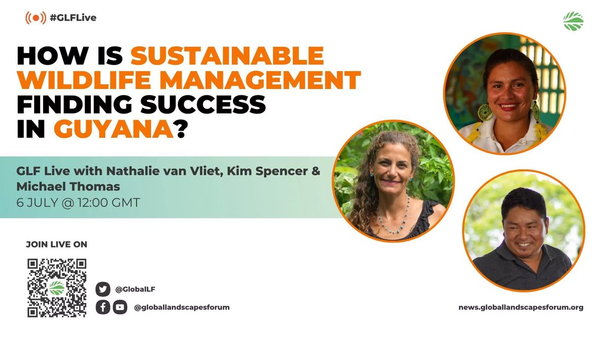 🗓️ Save the Date: 06 July 2023 | 12:00 GMT

#GLFLive: 'How is sustainable wildlife management finding success in 🇬🇾Guyana' with Nathalie van Vliet, Kim Spencer and Michael Thomas

↪️ bit.ly/3PjK1gD

#SWMProgramme #ThinkLandscape #TreesPeoplePlanet