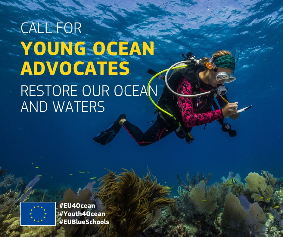 🐳📣Calling all young change-makers! Join the #Youth4Ocean Forum as a Young Ocean Advocate if you’re concerned about our ocean’s health! 🌊 Get support, showcase your work, and connect with experts. Apply now: maritime-forum.ec.europa.eu/en/node/10522 #EU4Ocean #OceanConservation #Youth4Ocean