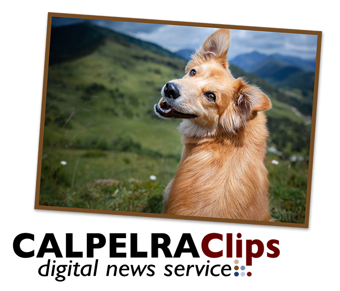 #CALPELRAClips June 21 Issue - Now available on CALPELRA's web site. #PublicEmploymentNews #LaborRelationsNews #HRNews #EmploymentNews #CALPELRADogsDeliver 
mailchi.mp/calpelra.org/c…