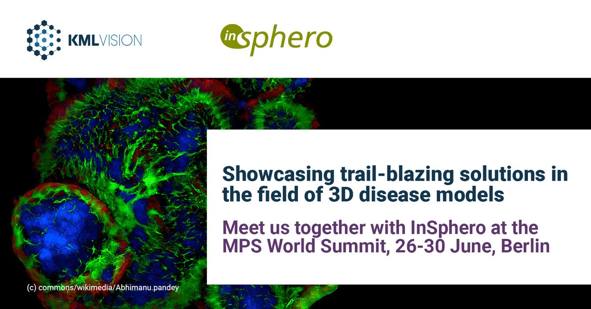 We are excited  🌟 to present the results of our collaboration with @InSphero in 3D cell culture studies at the upcoming @MPSWorldSummit. 

#KMLVision #IKOSA #InSphero #drugdiscovery #invitromodels #3dcellmodels #translationalresearch #3dcellculture #mpsworldsummit2023