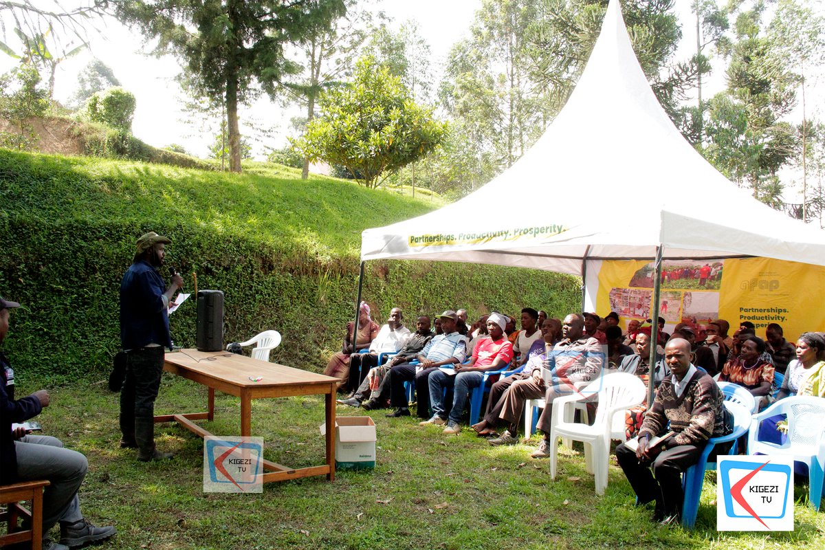 #HappeningNow 
Farm to Table Ltd in Bubaare Town Council, @Rubandadistrict is hosting a team of partners from @DelphyEN @Syngenta @AFAPPartnership and @EtgUganda for a farmer field day in the district on proper fertilizer usage, Disease identification in crops, chemical usage on