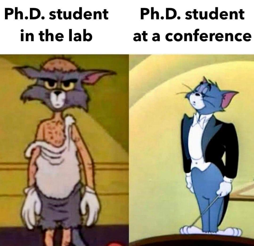 YoldasCemre's tweet image. Never ending 😂😂🤣

#PhDcourse #PhD @ThePhDPlace