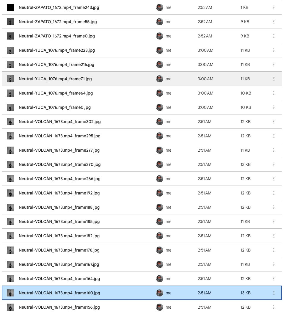 echongkan's tweet image. Transforming LESCO videos into frames with data augmentation for computer vision models. #LESCO #VideoToFrames #DataAugmentation #CVModeling