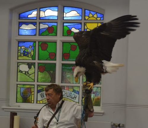 whitchurchCEFed's tweet photo. WJA loved meeting the Bird Man yesterday. We were introduced to Alaska the Eagle, Cybil the Hawk and Sparky the Owl. We were very impressed with them all flying around the hall. Year 5 and 6 had to sit very still as the eagle walked amongst them! #WJAscience @StBartsTrust https://t.co/OADj5Z8mjl