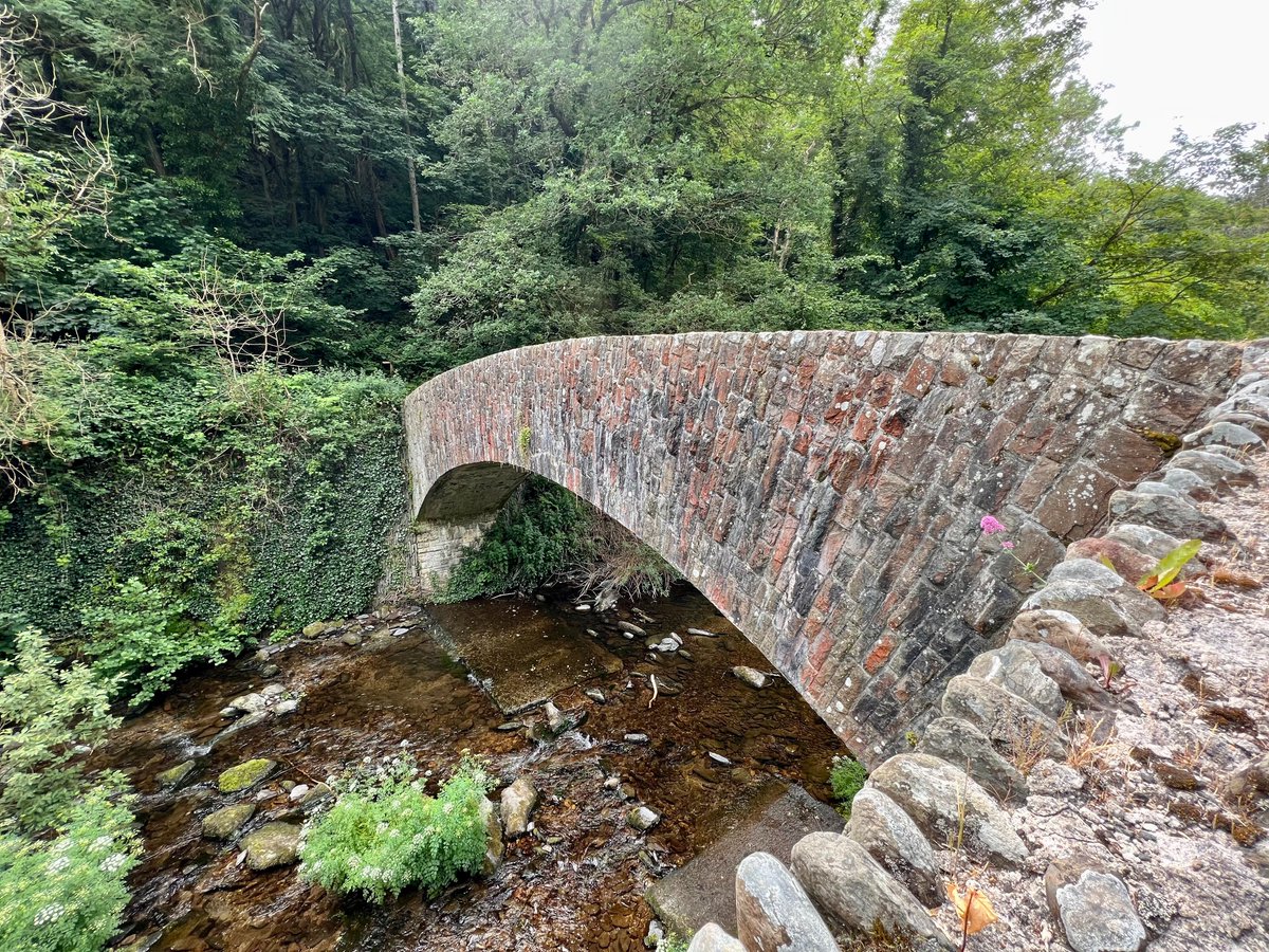 #bridgesThursday - Lyn Bridge is a trad packhorse bridge over the West Lyn but not entirely old. On the night of 15/16 Aug 1952, 23 cm fell on Exmoor & a torrent of water rushed down this deep valley bringing much debris with it. 28 bridges in area req replacement or repair.