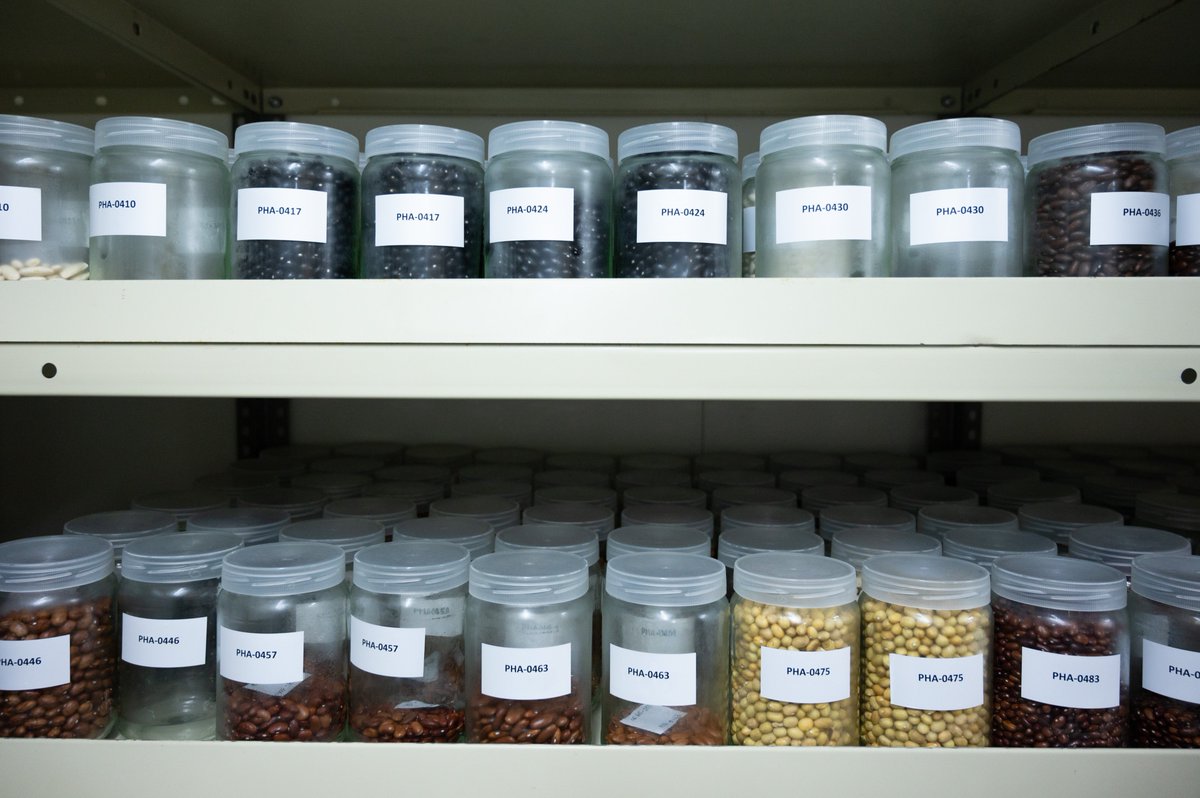 agroforcsic's tweet photo. La PTI Agrofor es una herramienta de colaboración interdisciplinar e intersectorial que busca soluciones dirigidas a la recuperación de la biodiversidad genética vegetal en los sistemas agrarios y forestales https://t.co/quMM7kHbr1