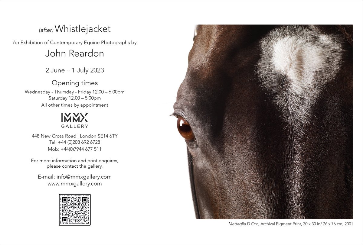 (after) Whistlejacket - Contemporary Equine Photographs by John Reardon @MMXgallery mmxgallery.com