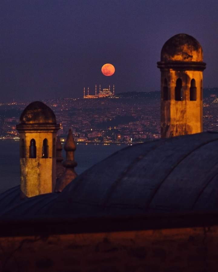 Good night İstanbul ... 🌕

📸 : johannes_moths