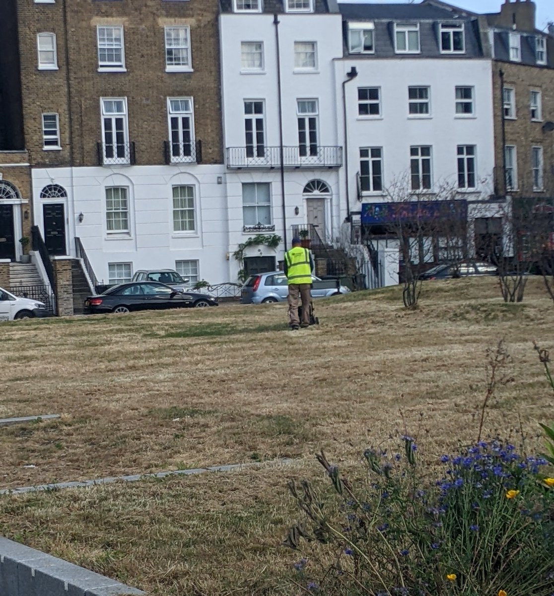 The grass is practically dust in this weather, best mow whatever tiny bits of green may be struggling on!! 

Best use petrol engine equipment too!! 

AND in #InsectWeek23 so best destroy some habitat

@lambeth_council not good enough in a climate AND biodiversity crisis