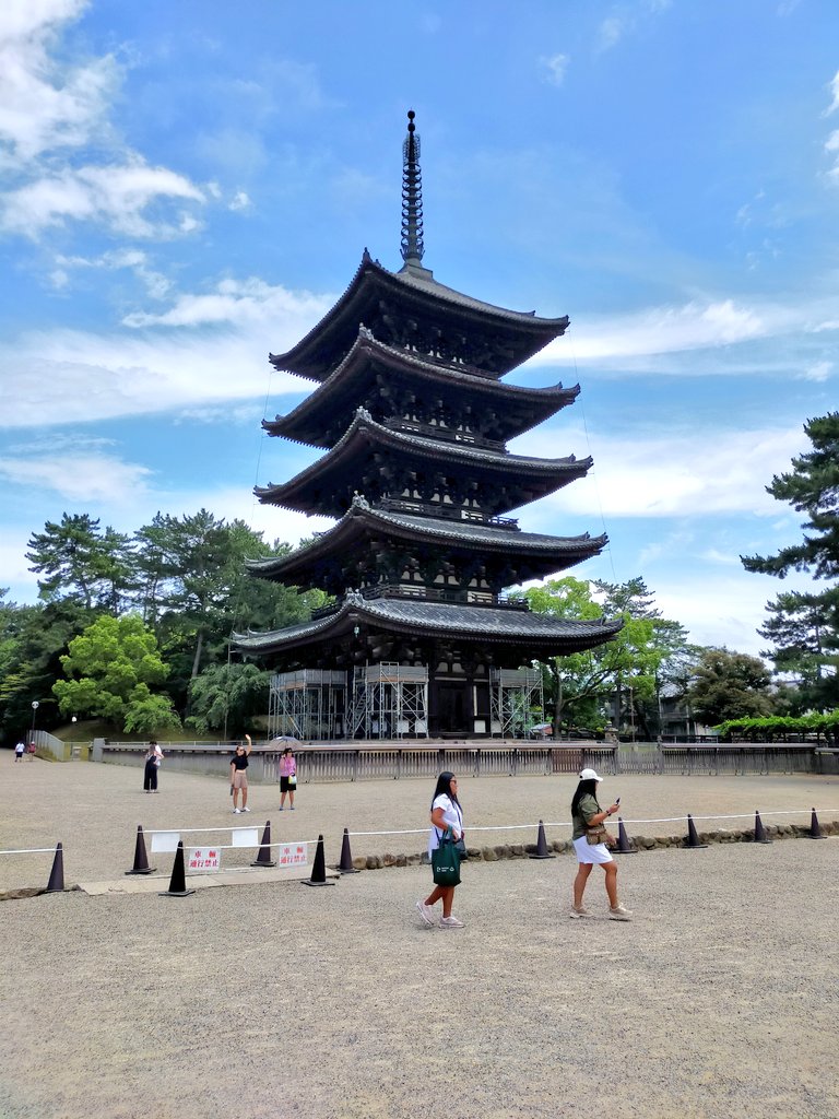 【興福寺五重塔】🌴
奈良の歴史建造物みたいですね
#寺巡り