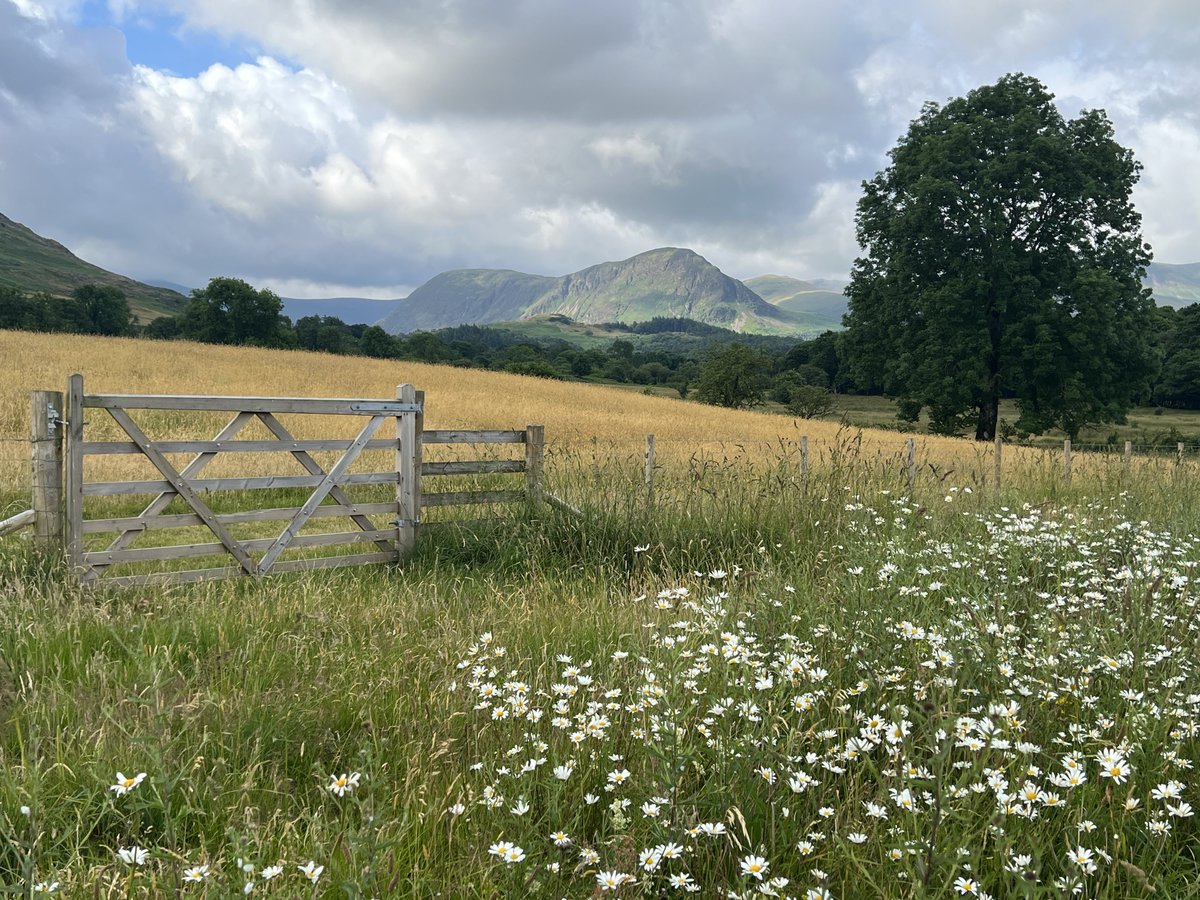 Mellbreak this morning #Cumbria