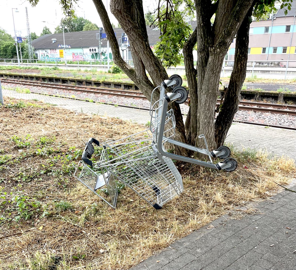 Herr_Ikithon's tweet photo. Train station art 🫠 #MeanwhileInGermany https://t.co/yRa8KZ8rf9
