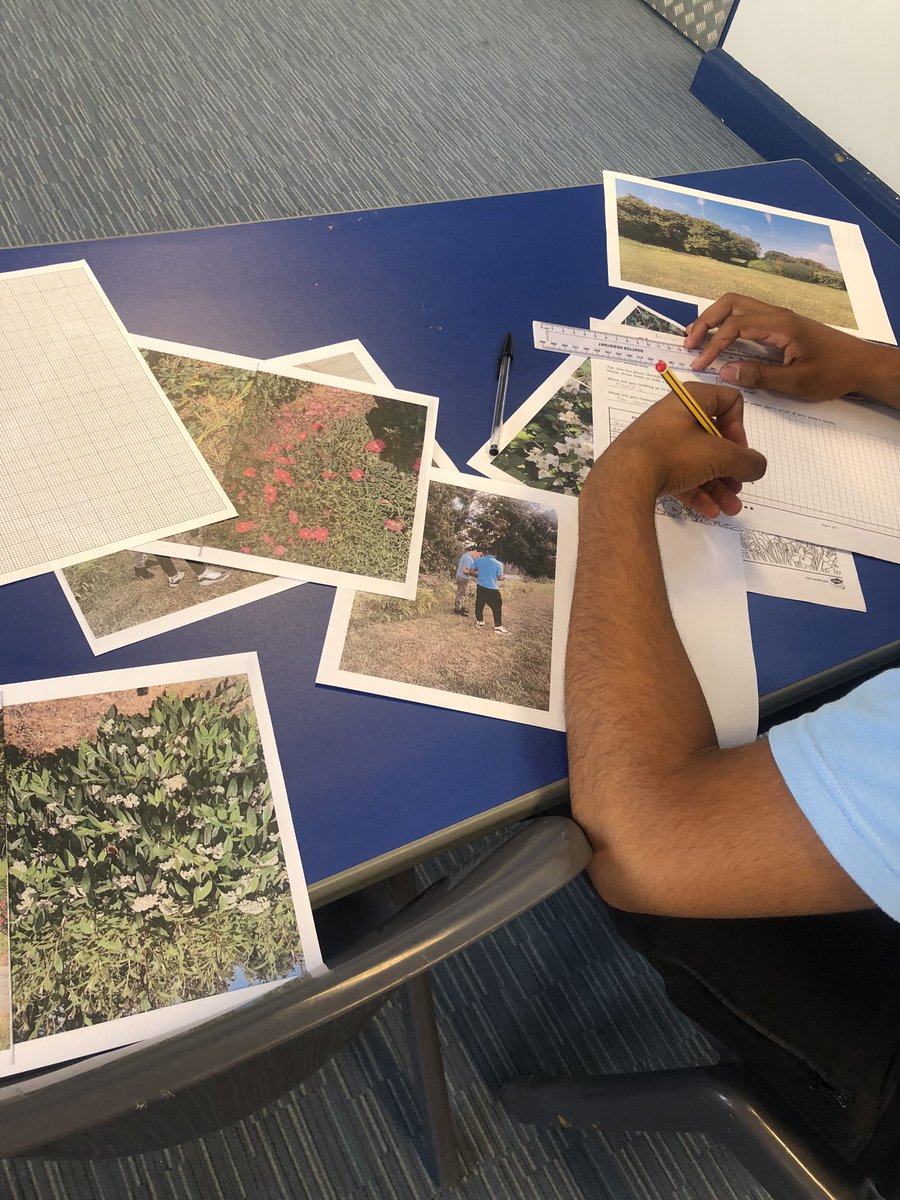 _VictoryPark_'s tweet photo. Year 11’s recording their results from their plant identification/classification investigations as part of our protecting the environment unit this term 

#appliedscience #science #recordingdata #vpa https://t.co/PiVtA4q2tr