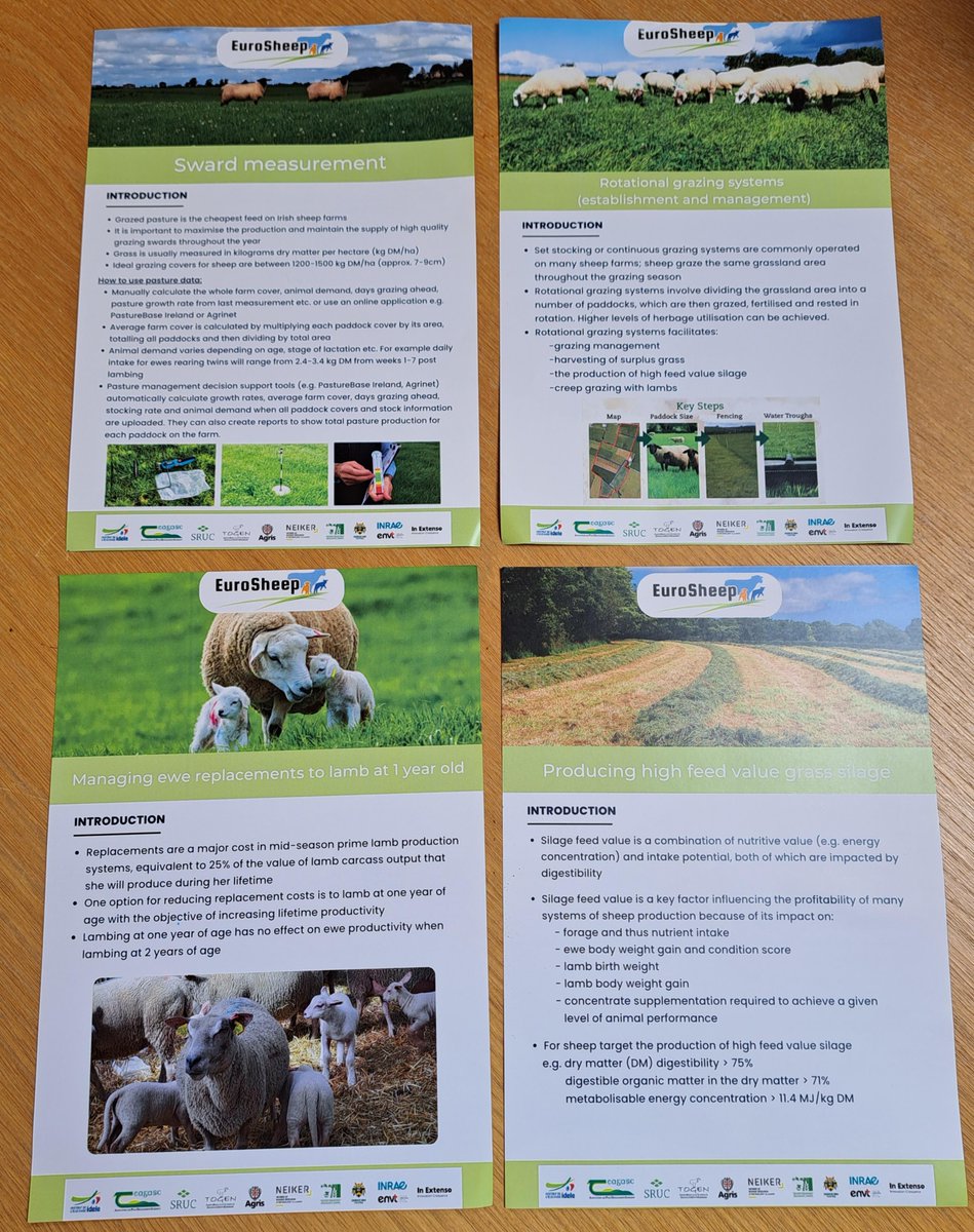 EuroSheep tweet media