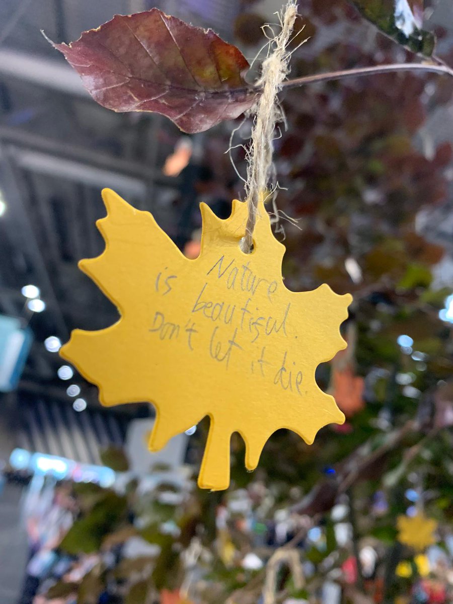 Neil Strong tweet media