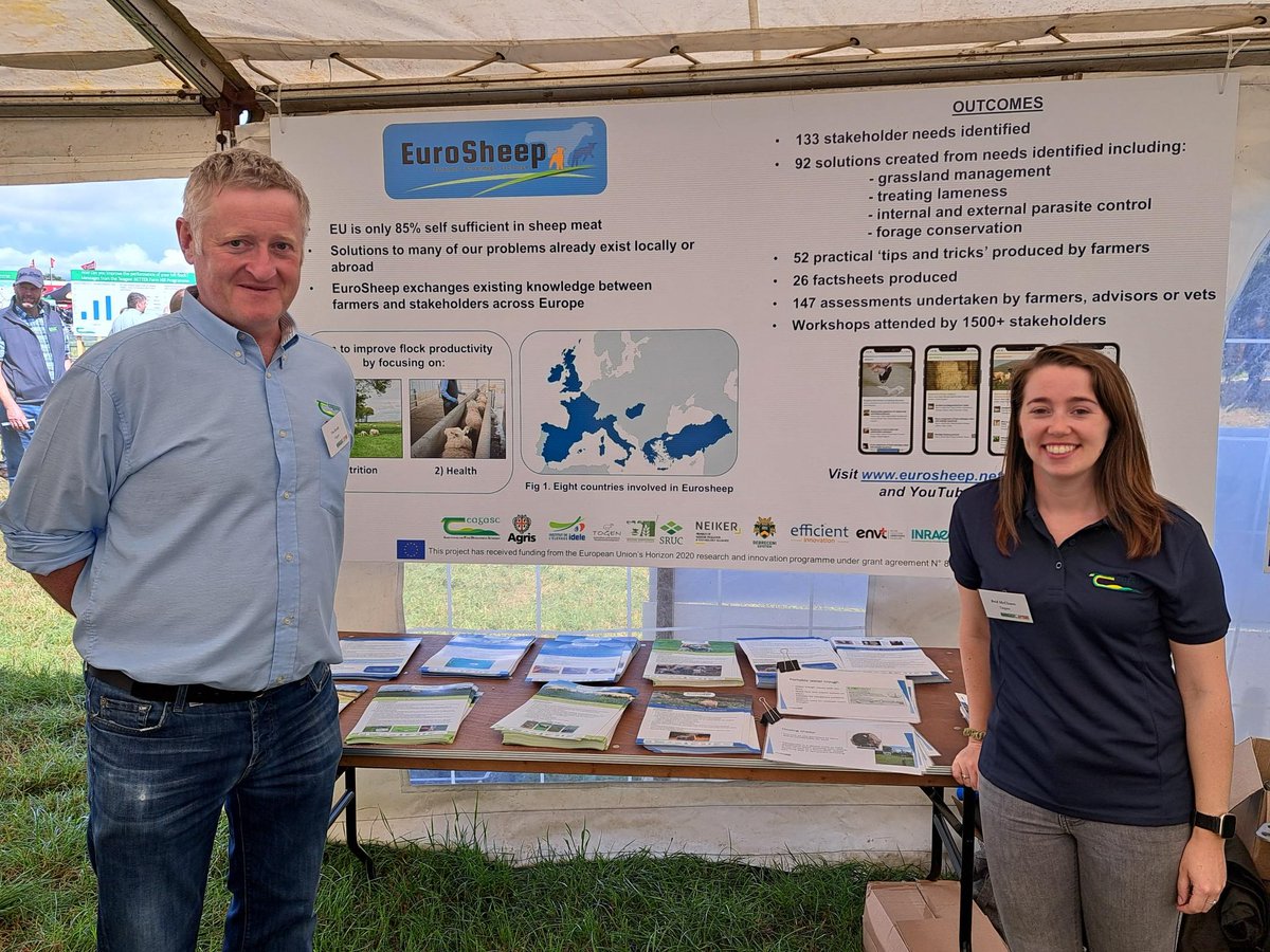 EuroSheep tweet media