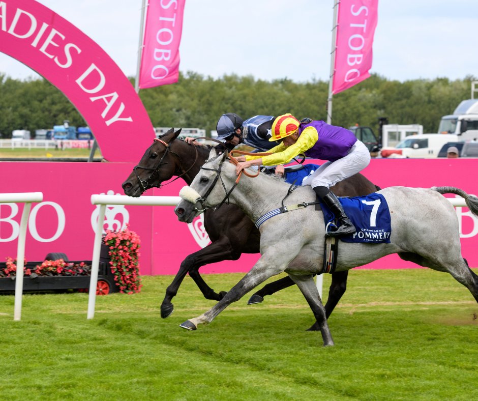 Musselburgh Racecourse (MusselburghRace) / Twitter