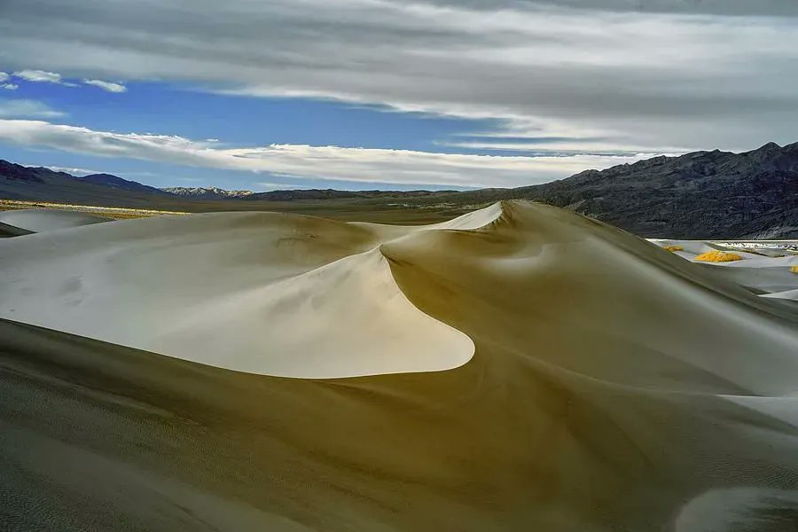 Art for the  Walls! buff.ly/3HE3i7F  #art #photography #landscapephotography  #picoftheday #artwork #fineartamerica #fineartforsale #California #desert #naturelovers #nature buff.ly/42lqkZ8 #artwork #landscapelovers #Deathvalley #mesquiteflatdunes #