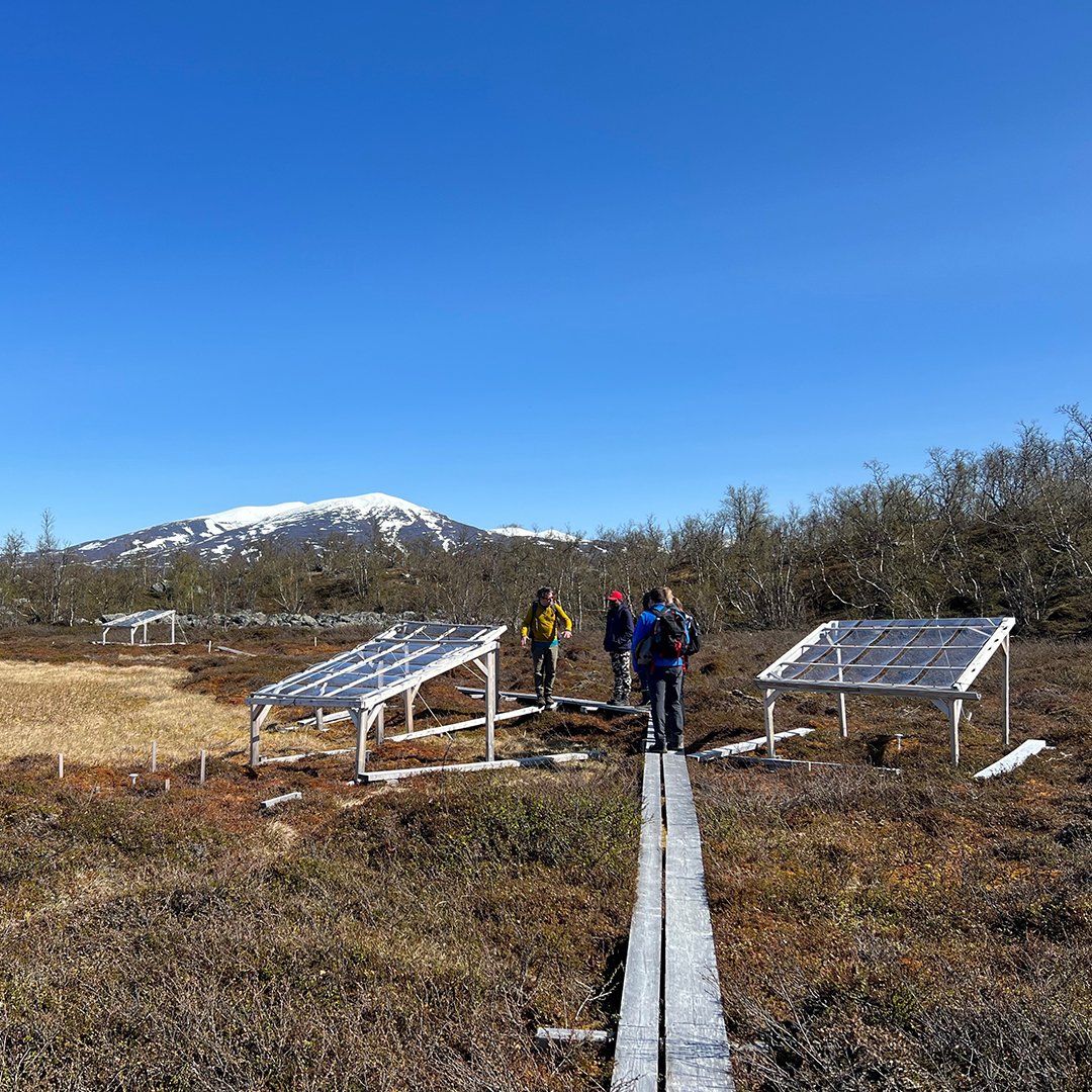 NorthumbriaUni's tweet image. Our Environmental Monitoring, Modelling and Reconstruction Masters students and staff have had a fantastic week in Abisko! #IAmNorthumbria 

Discover more here: orlo.uk/PSEtm

#NorthumbriaMasters